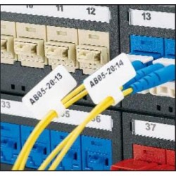 Panduit F100X150AJC